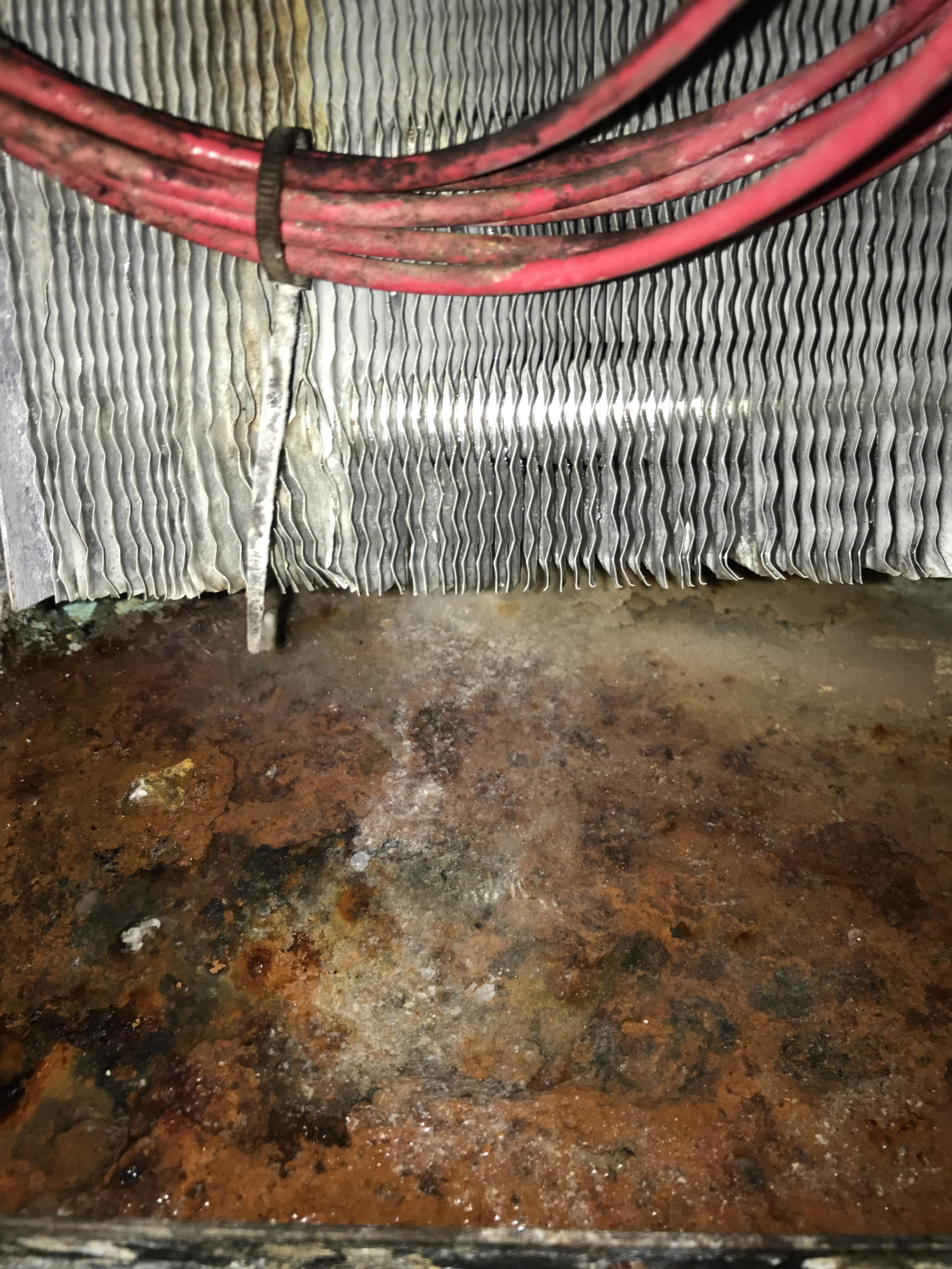 contaminated wires